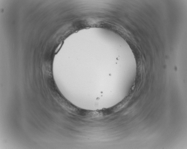 X0000070830421200607142346