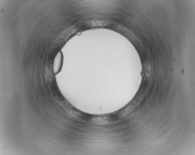 X0000070830422200607142346