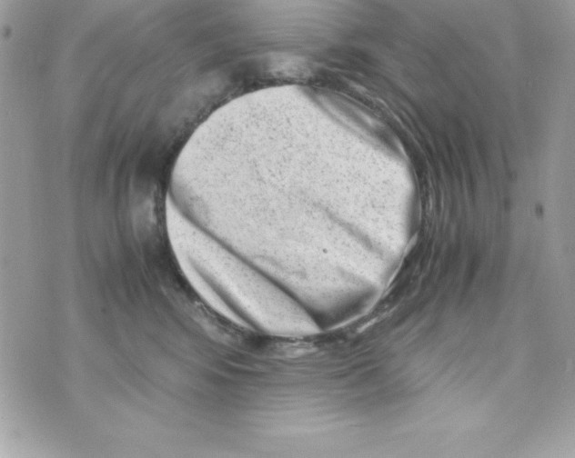 X0000070830424200607142346