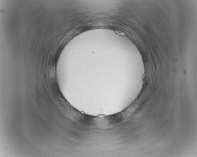 X0000070830425200607142346