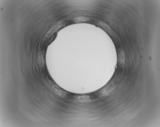 X0000070830426200607142346