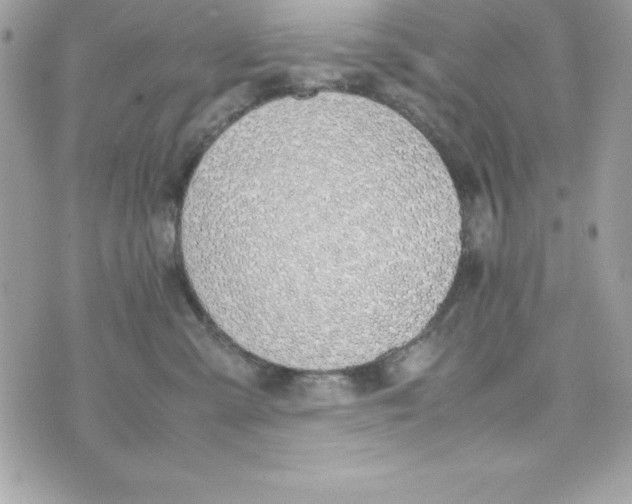 X0000070830427200607142346