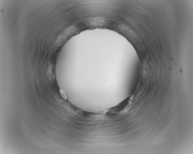 X0000070830428200607142345