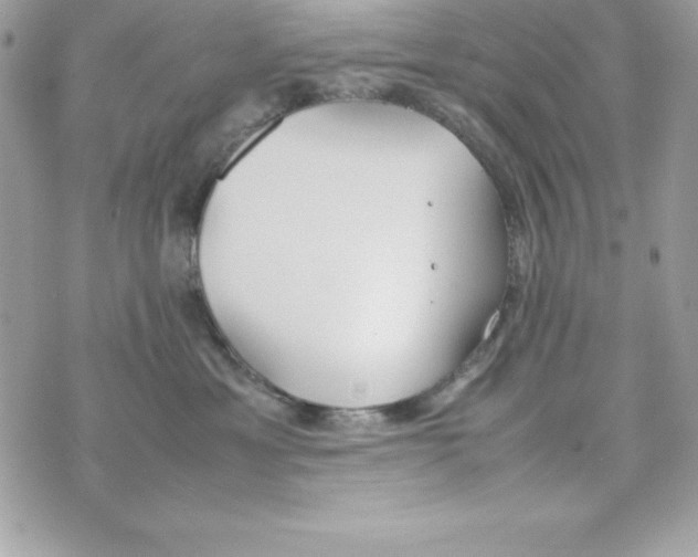 X0000070830429200607142345