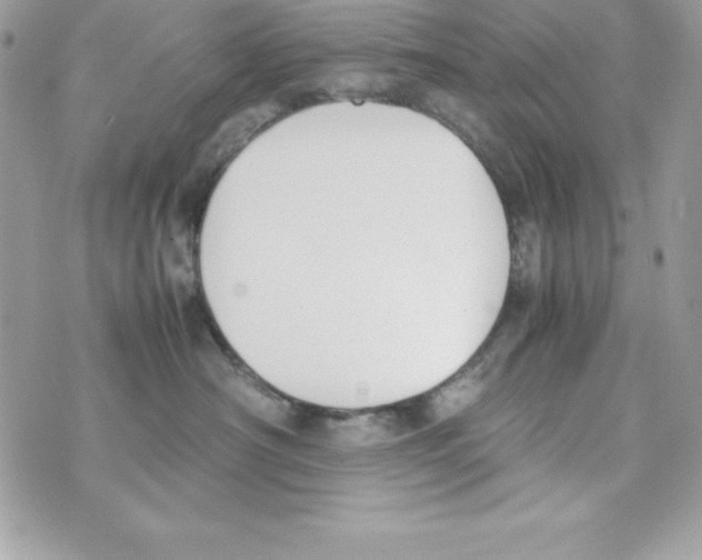 X0000070830430200607142345