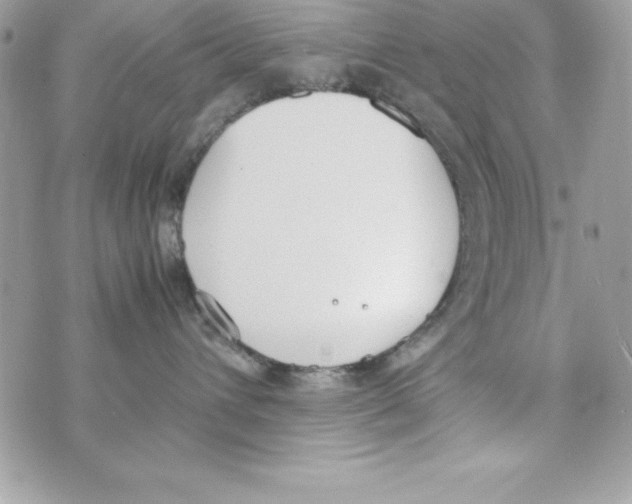 X0000070830432200607142345