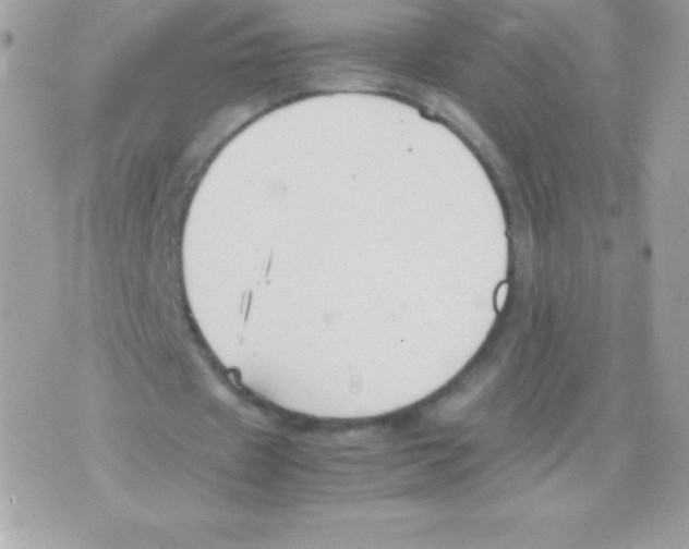 X0000070830433200607142345