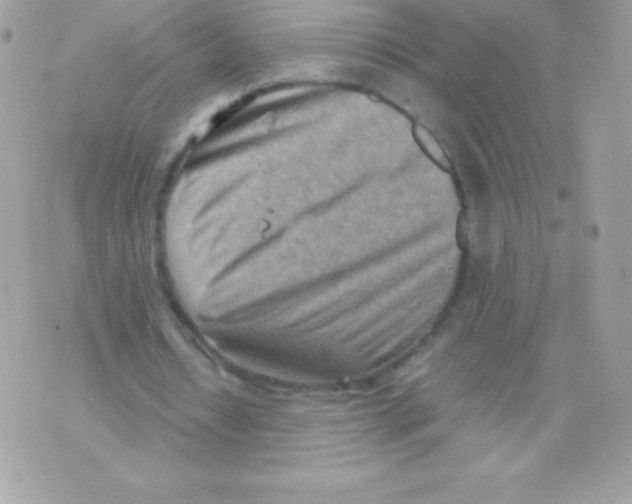 X0000070830434200607142345