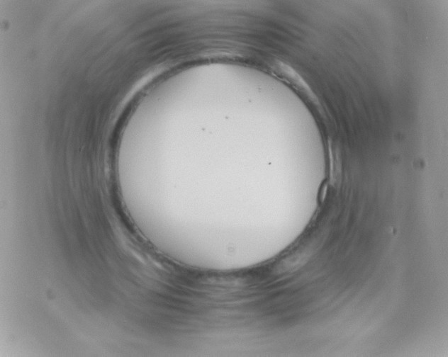 X0000070830435200607142345