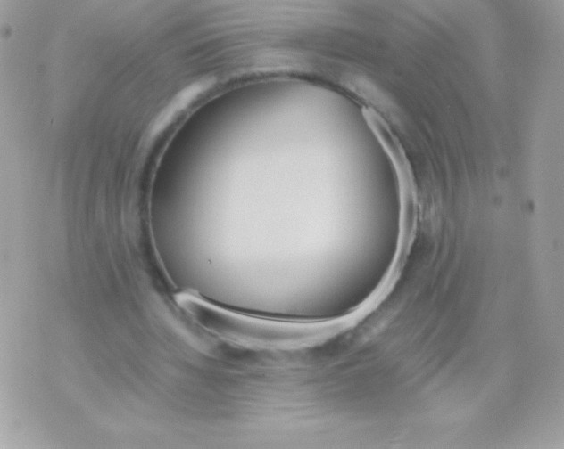 X0000070830436200607142345