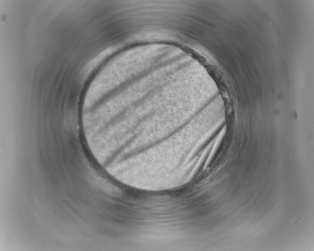 X0000070830438200607142345