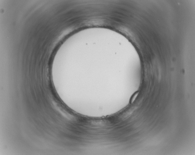 X0000070830439200607142345