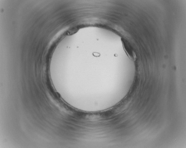 X0000070830440200607142345