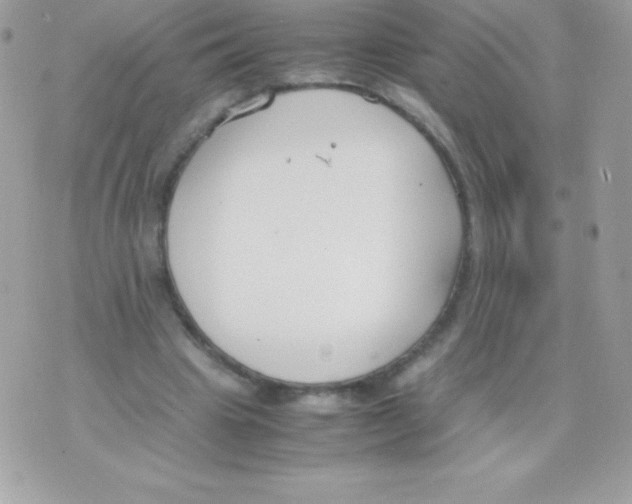 X0000070830441200607142345