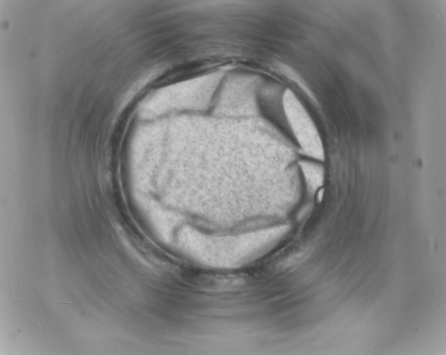 X0000070830443200607142345