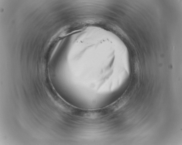 X0000070830444200607142345