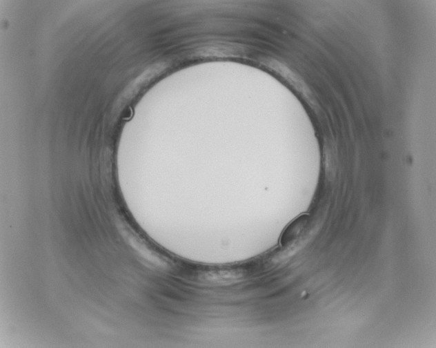 X0000070830445200607142345