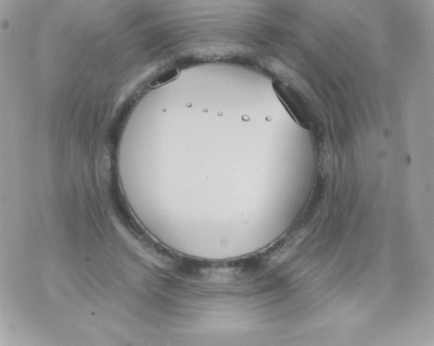 X0000070830448200607142345