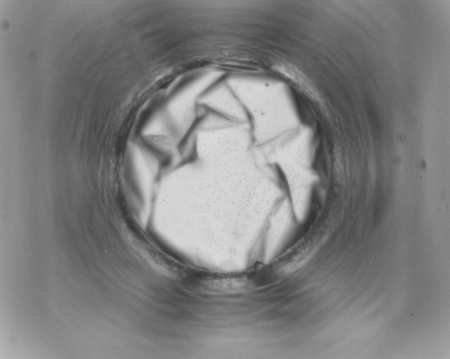 X0000070830449200607142345