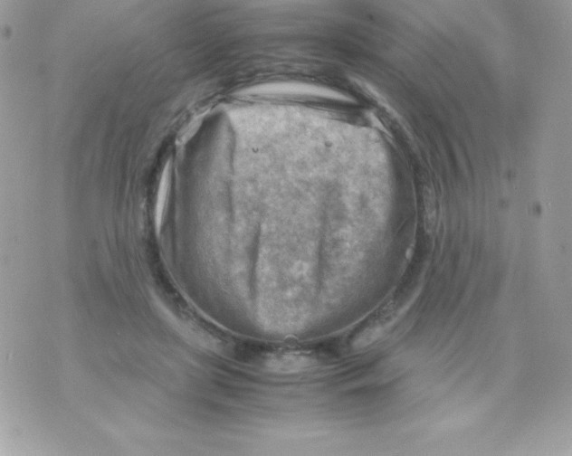 X0000070830451200607142345