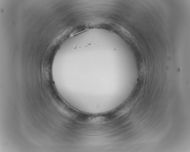 X0000070830452200607142345