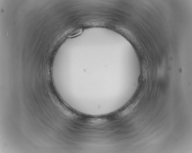 X0000070830453200607142345