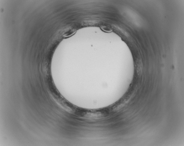 X0000070830455200607142345