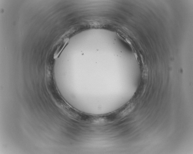 X0000070830456200607142345