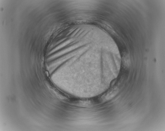 X0000070830458200607142345