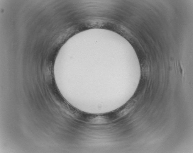 X0000070830460200607142345