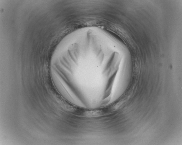 X0000070830461200607142345