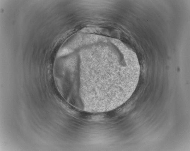 X0000070830462200607142345