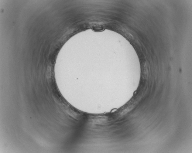 X0000070830463200607142345