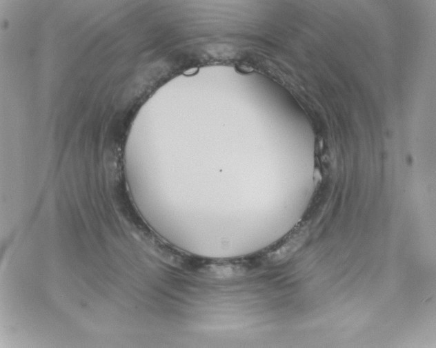 X0000070830464200607142345