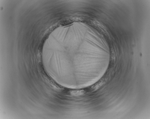 X0000070830465200607142345