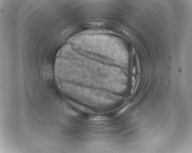 X0000070830467200607142345