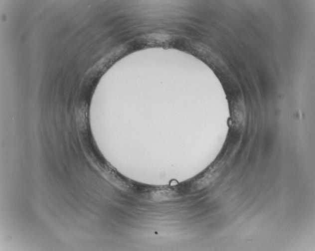 X0000070830468200607142345