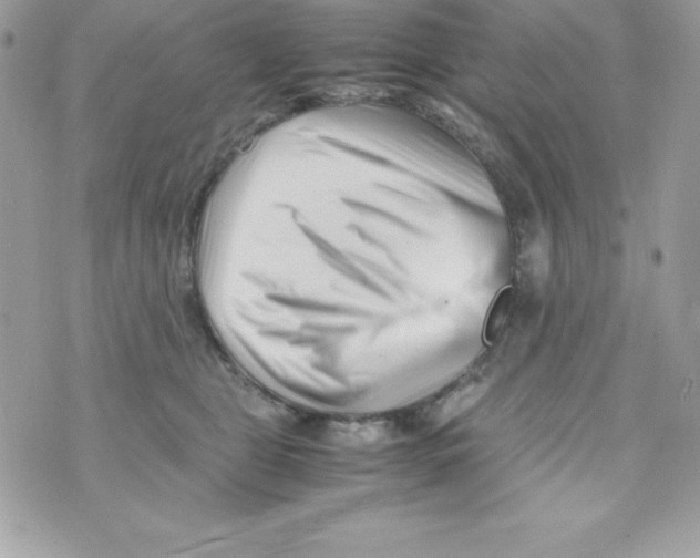 X0000070830469200607142345