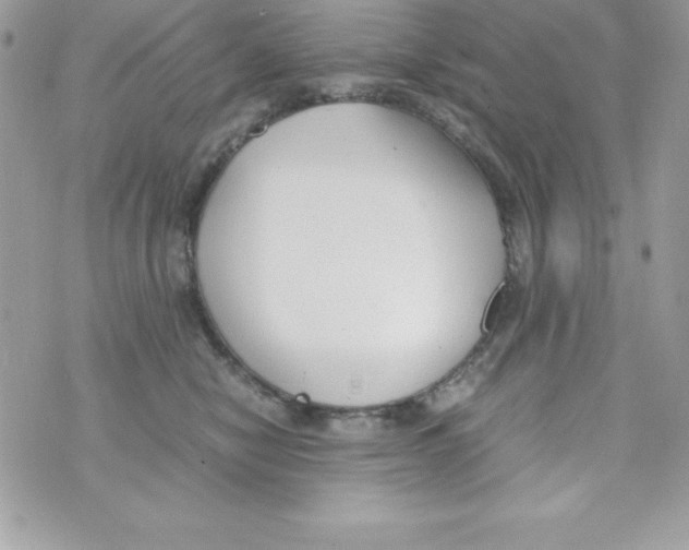 X0000070830470200607142345