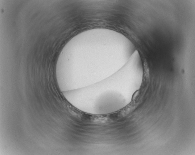 X0000070830471200607142345