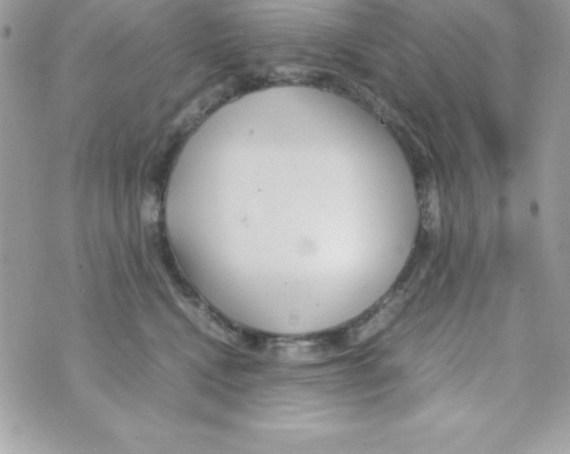 X0000070830472200607142345