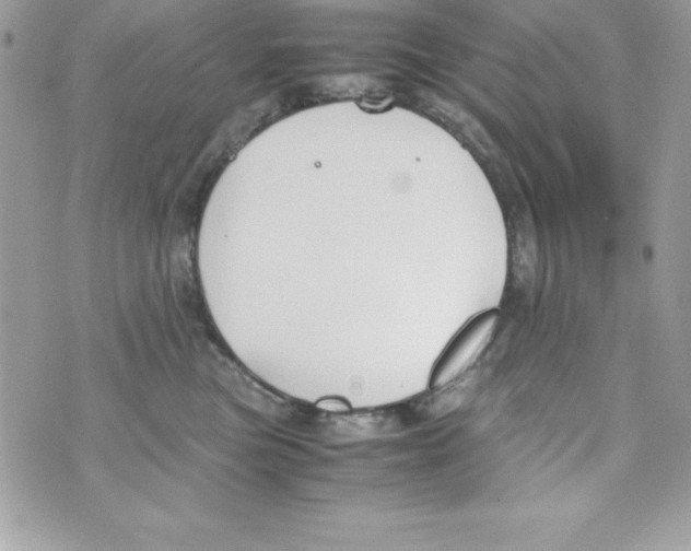 X0000070830473200607142345