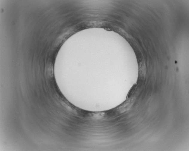 X0000070830474200607142345