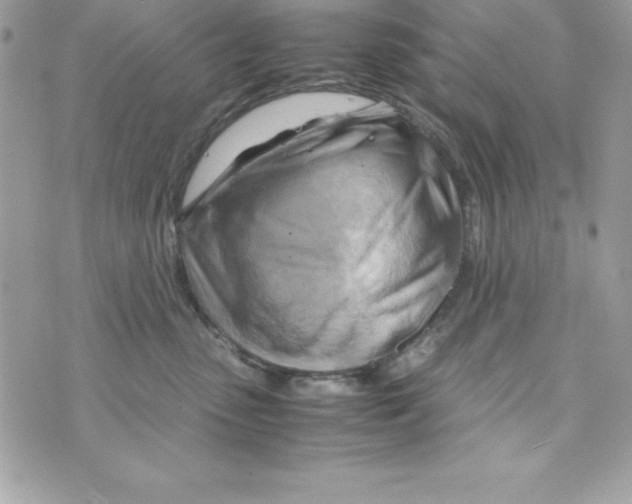 X0000070830475200607142345