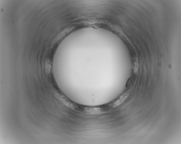 X0000070830476200607142345