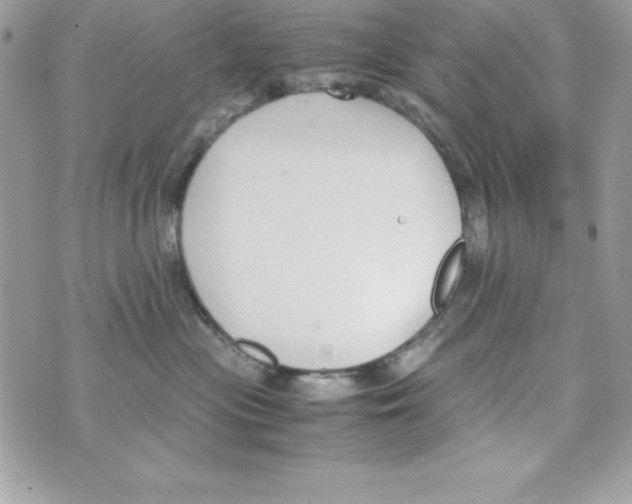 X0000070830477200607142345