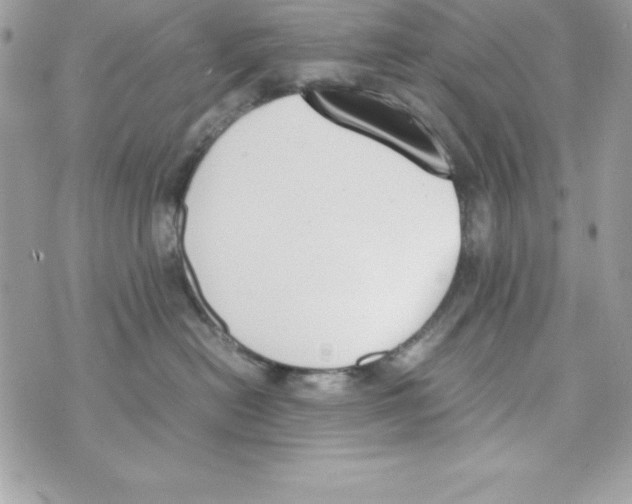 X0000070830478200607142345