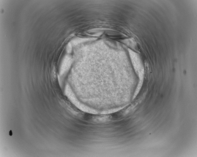 X0000070830479200607142345