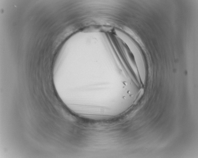 X0000070830481200607142345