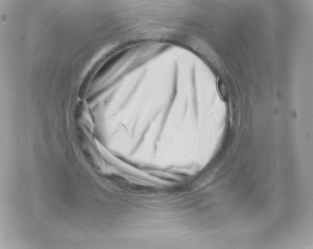 X0000070830483200607142345